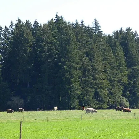 Nr 1, Lechbruck-gruendl, Allgaeu